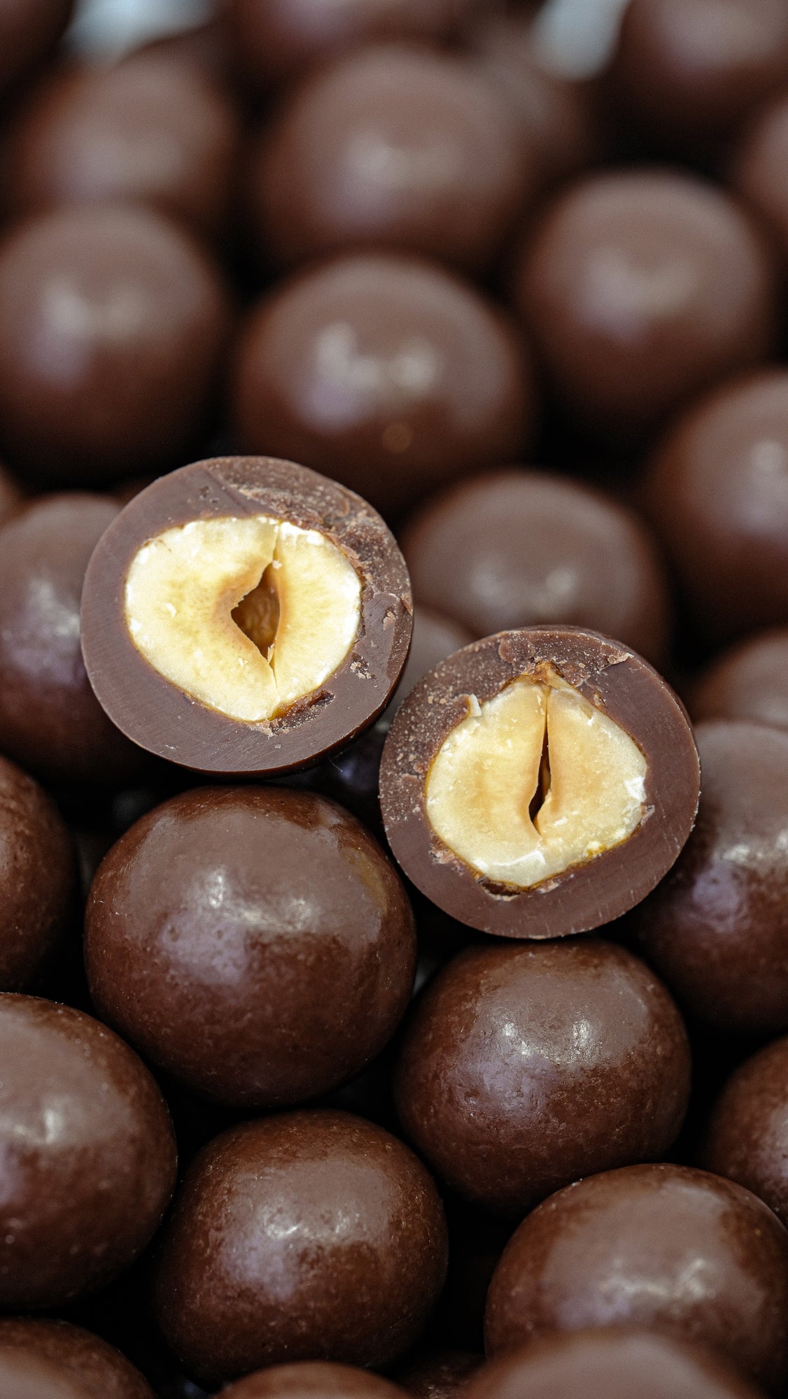 Milk Chocolate Hazelnuts